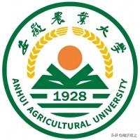 茶学是一个覆盖面很广的专业，它既学农业种茶、也学工业制茶，还涉足商业卖茶和茶文化