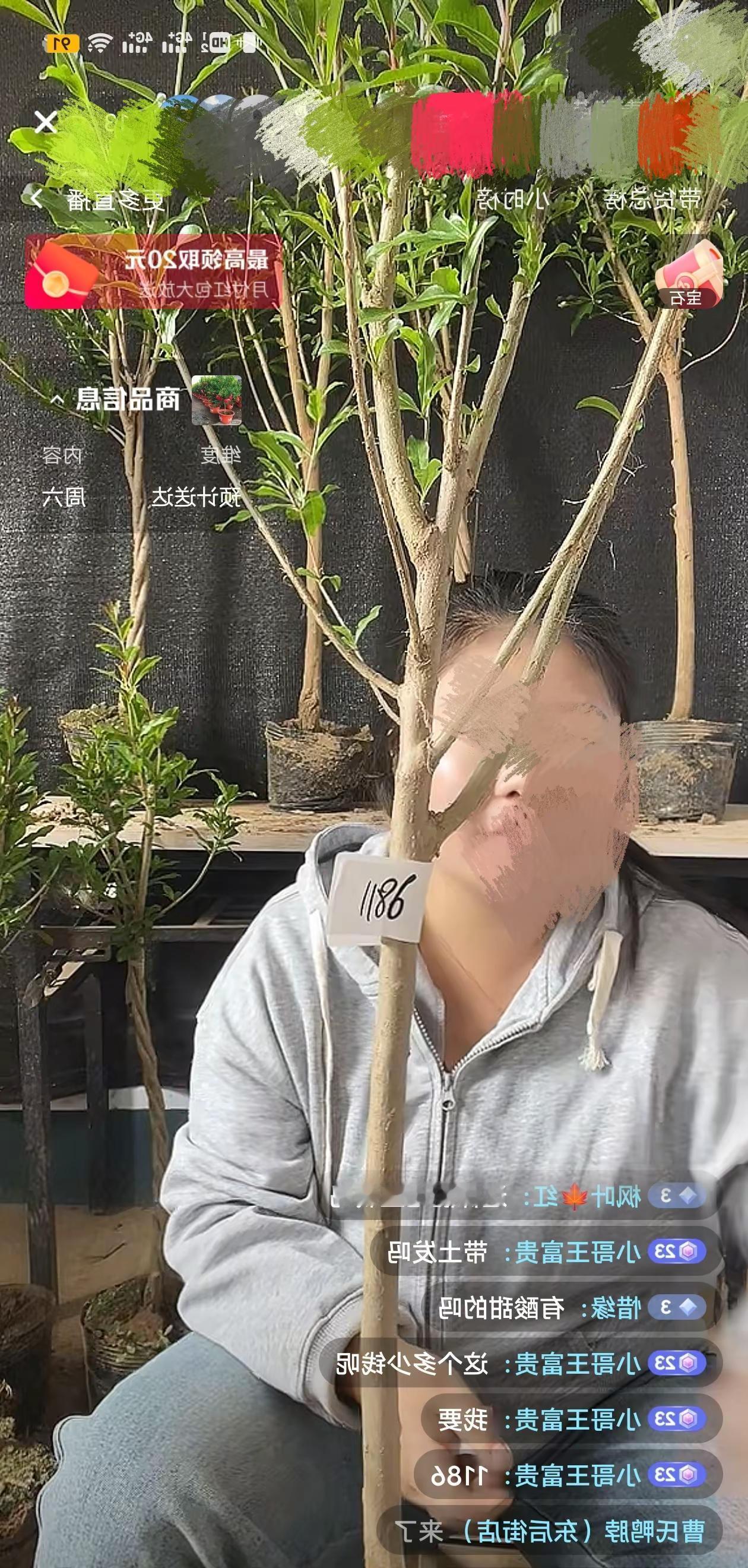 网上买的树，说好的南北方都能活😭。直播选树 网购苗木 种苗木就要种精品 真实拍