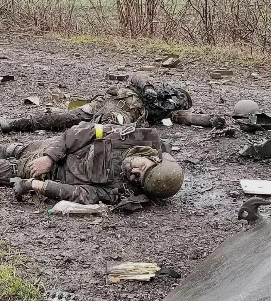 俄军发现很奇怪的一种现象

俄军近日在顿涅茨克地区康斯坦丁诺夫卡方向清扫战场时发