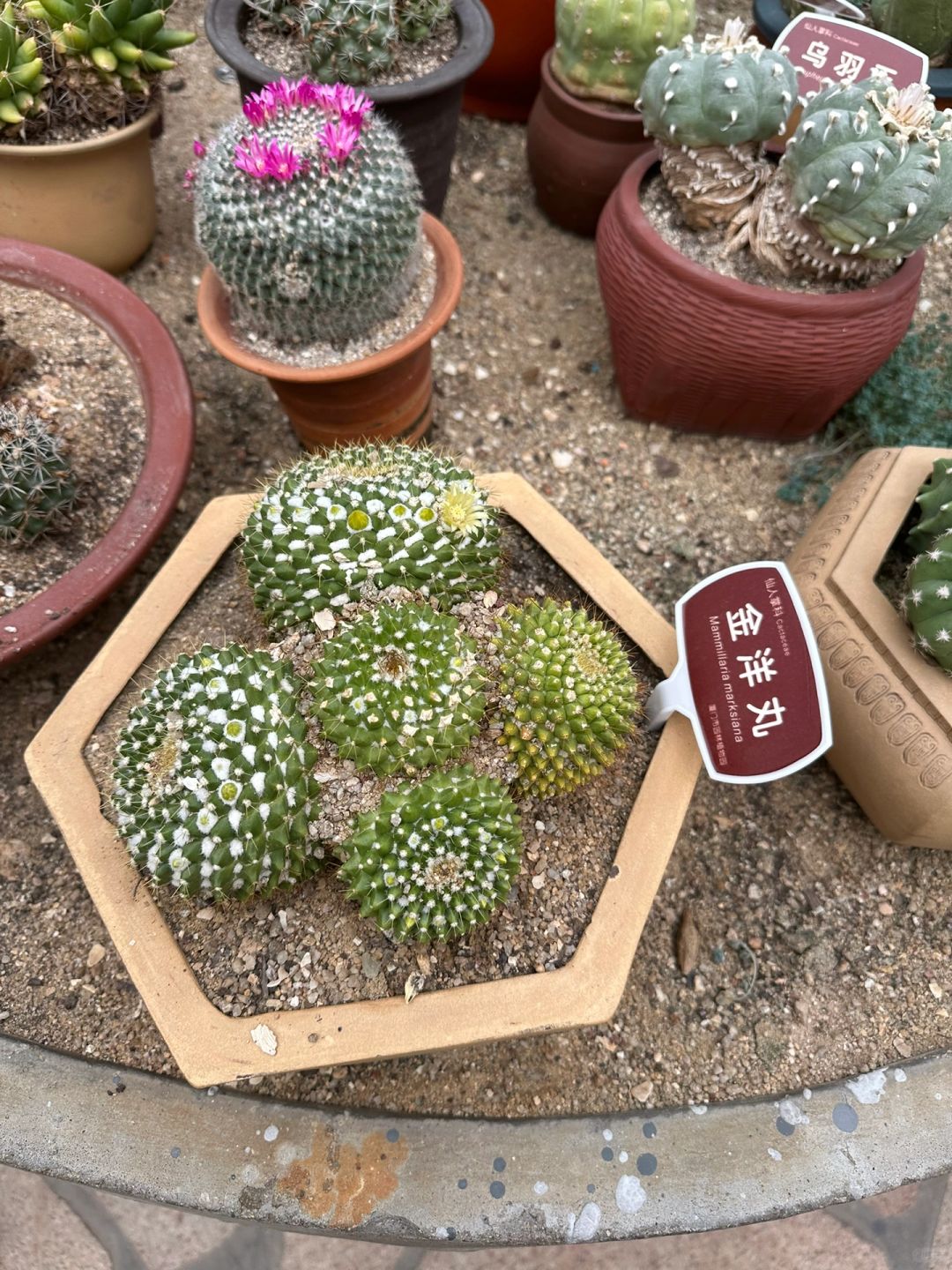 考研报名之前，你一定要知道这9⃣️点择校建议