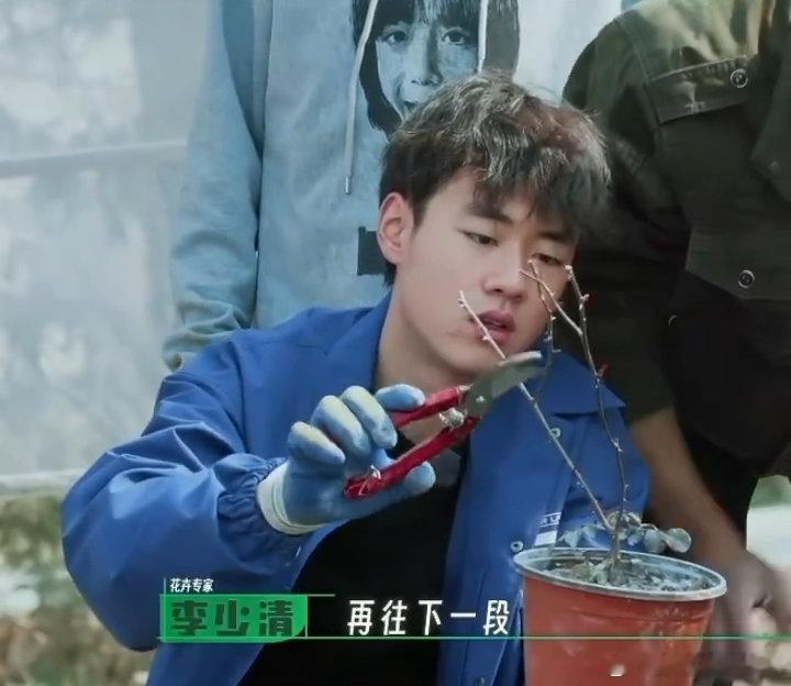 别人当城市美容师是体验，陈少熙是“回老本行”——毕竟种地吧剪到散黄的经历，早把剪