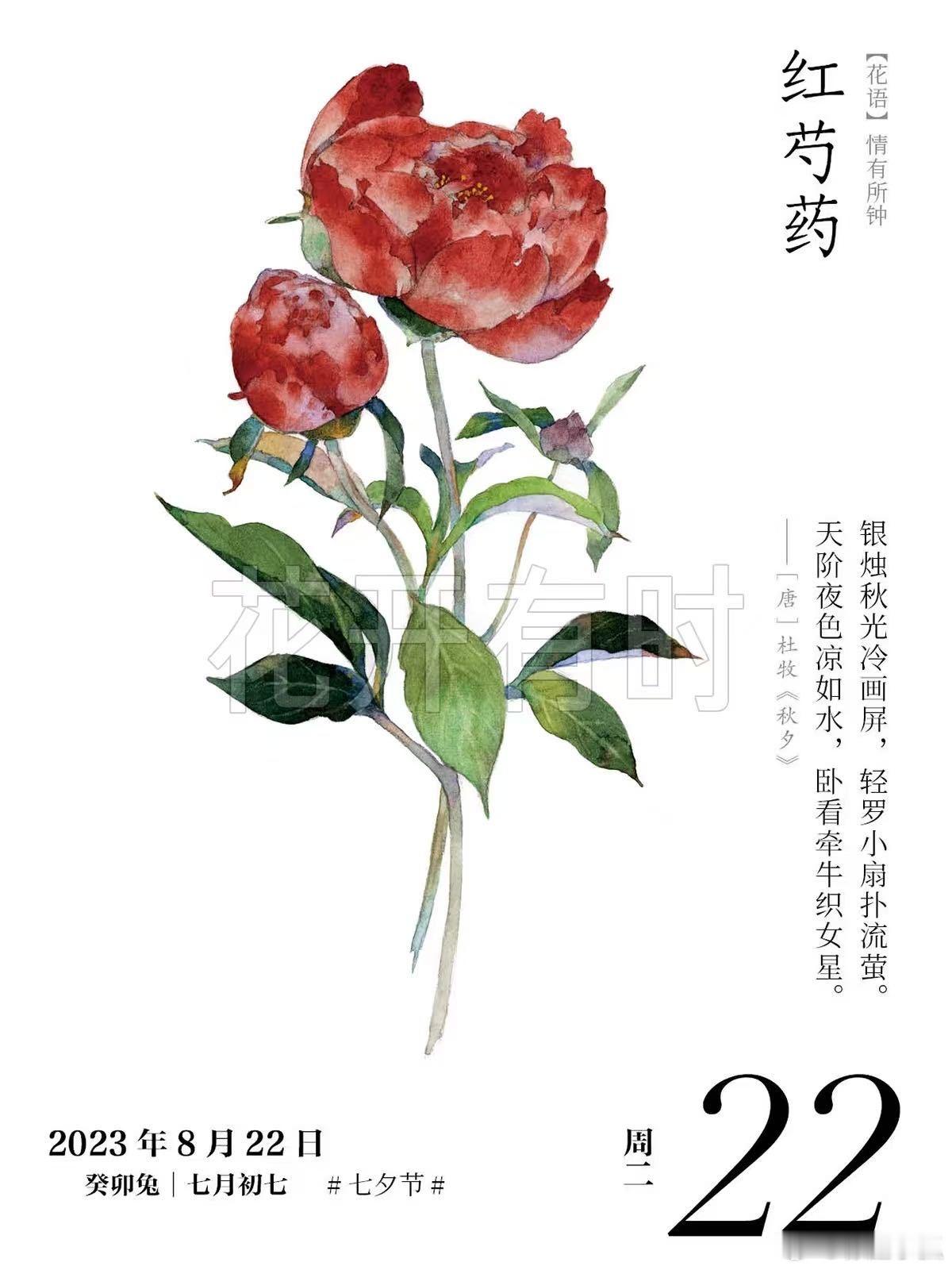 原来芍药是古人的爱情花 “赠之以勺药”，简单几字，道尽古人相恋时的羞涩与深情 。