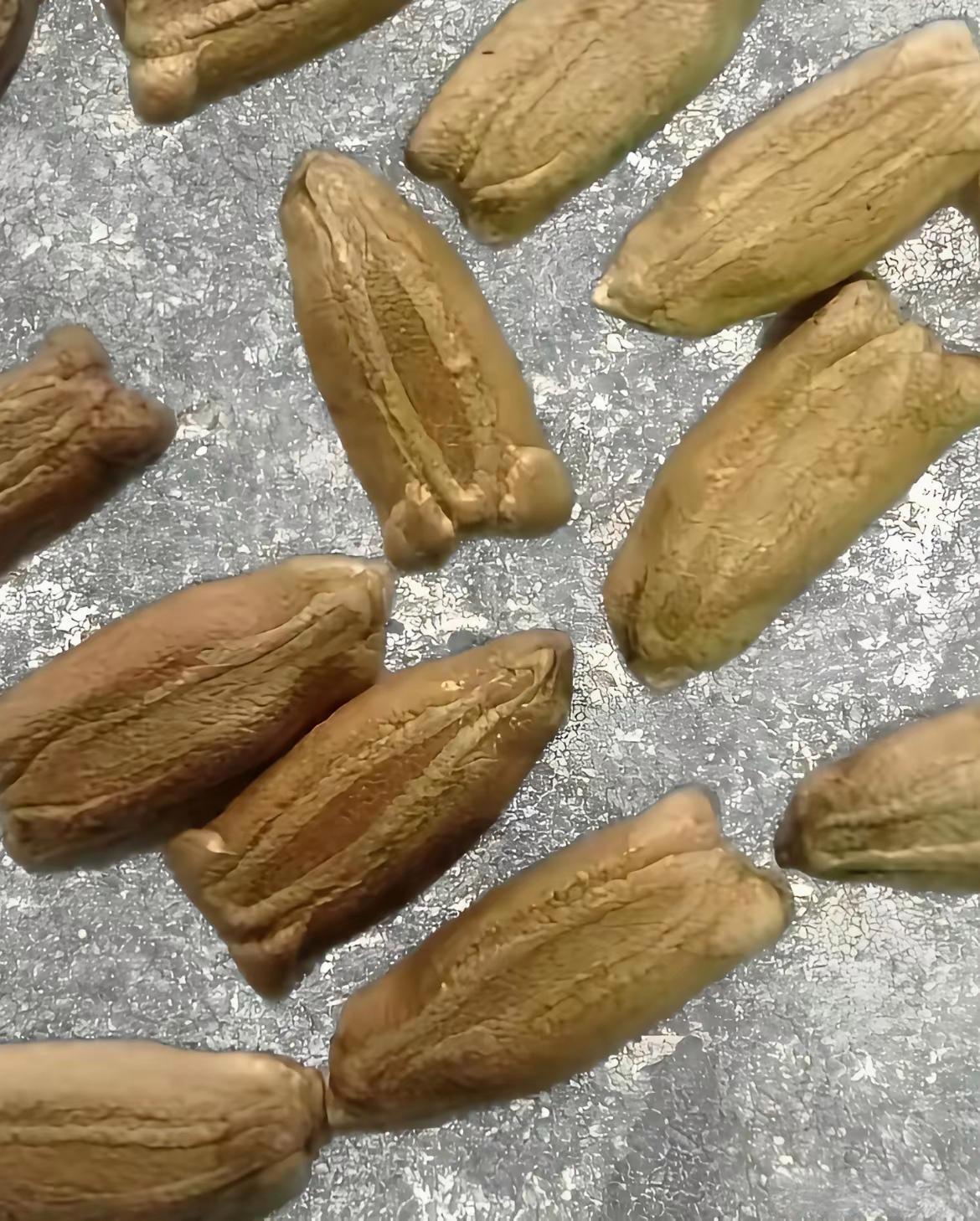 同事给的第一次吃