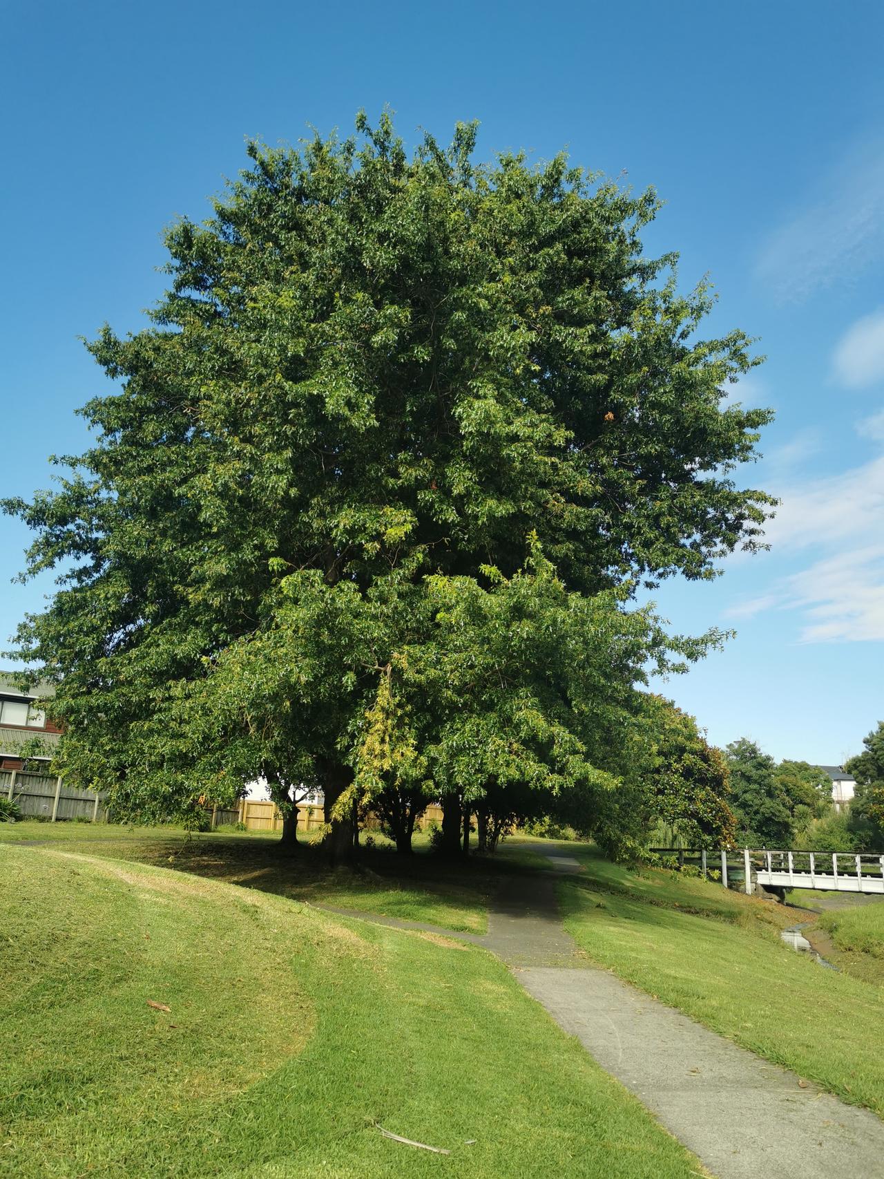到处都是这样的风景。但是，总感觉但却少点什么？那就是，几乎碰不到什么人。所谓好山