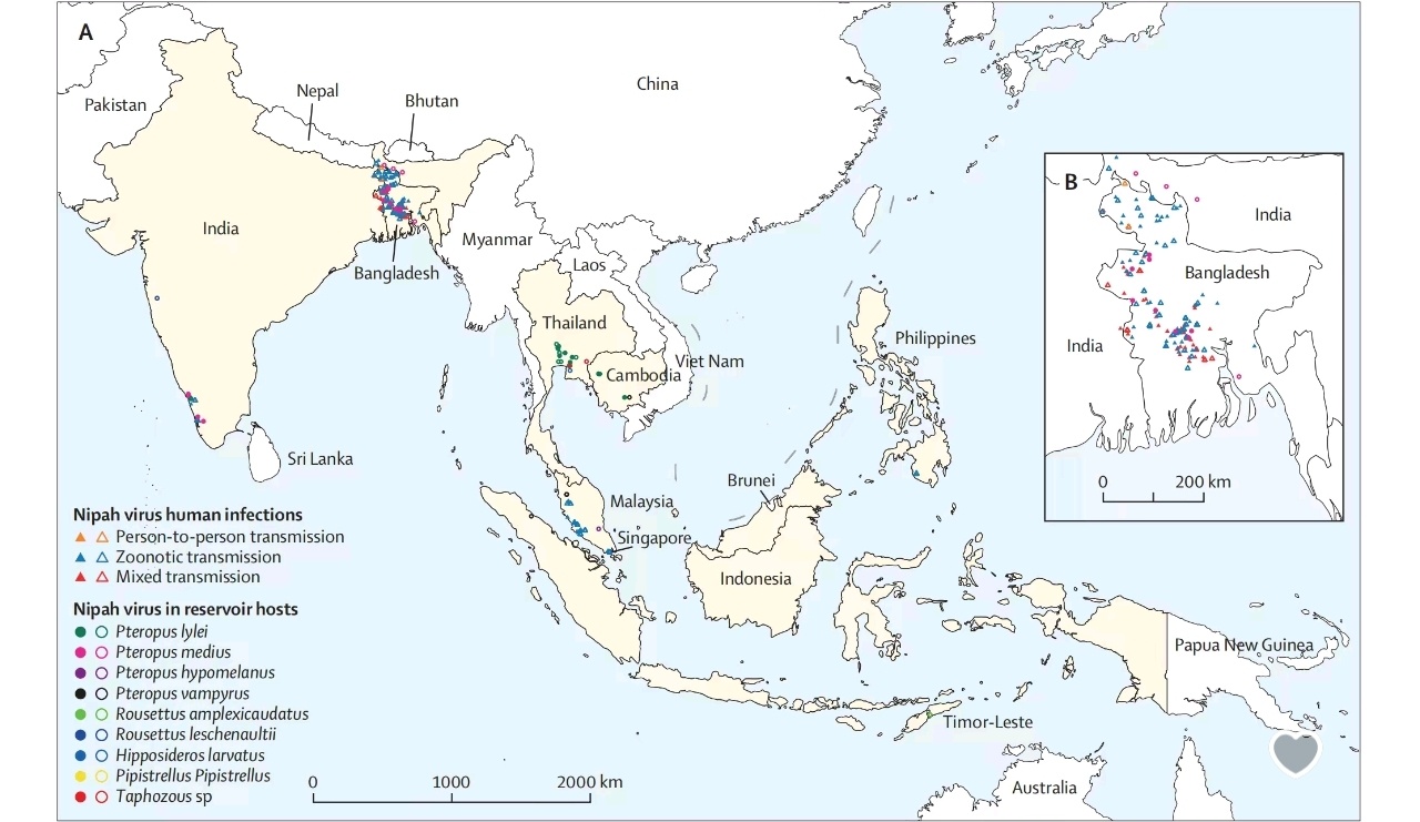 世卫称尼帕病毒或引发全球大流行才从上次疫情缓过来没几年，别又来一次，真的承受不起