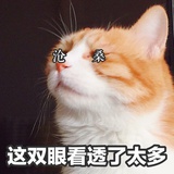 椰端谈谈娱乐