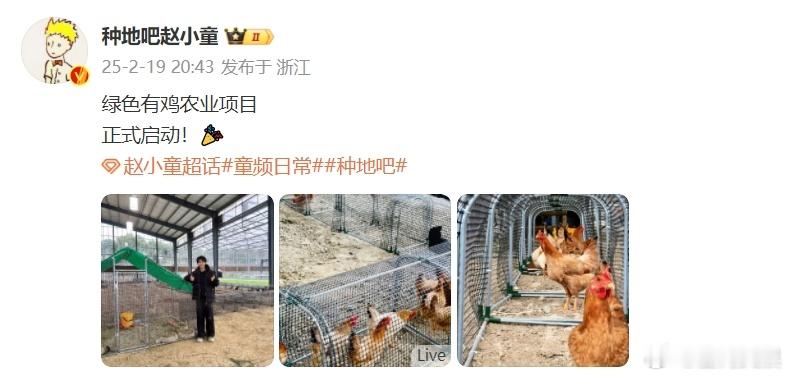 赵小童绿色有鸡农业项目启动  被赵小童绿色有鸡农业项目的启动所吸引，后陡门养鸡场