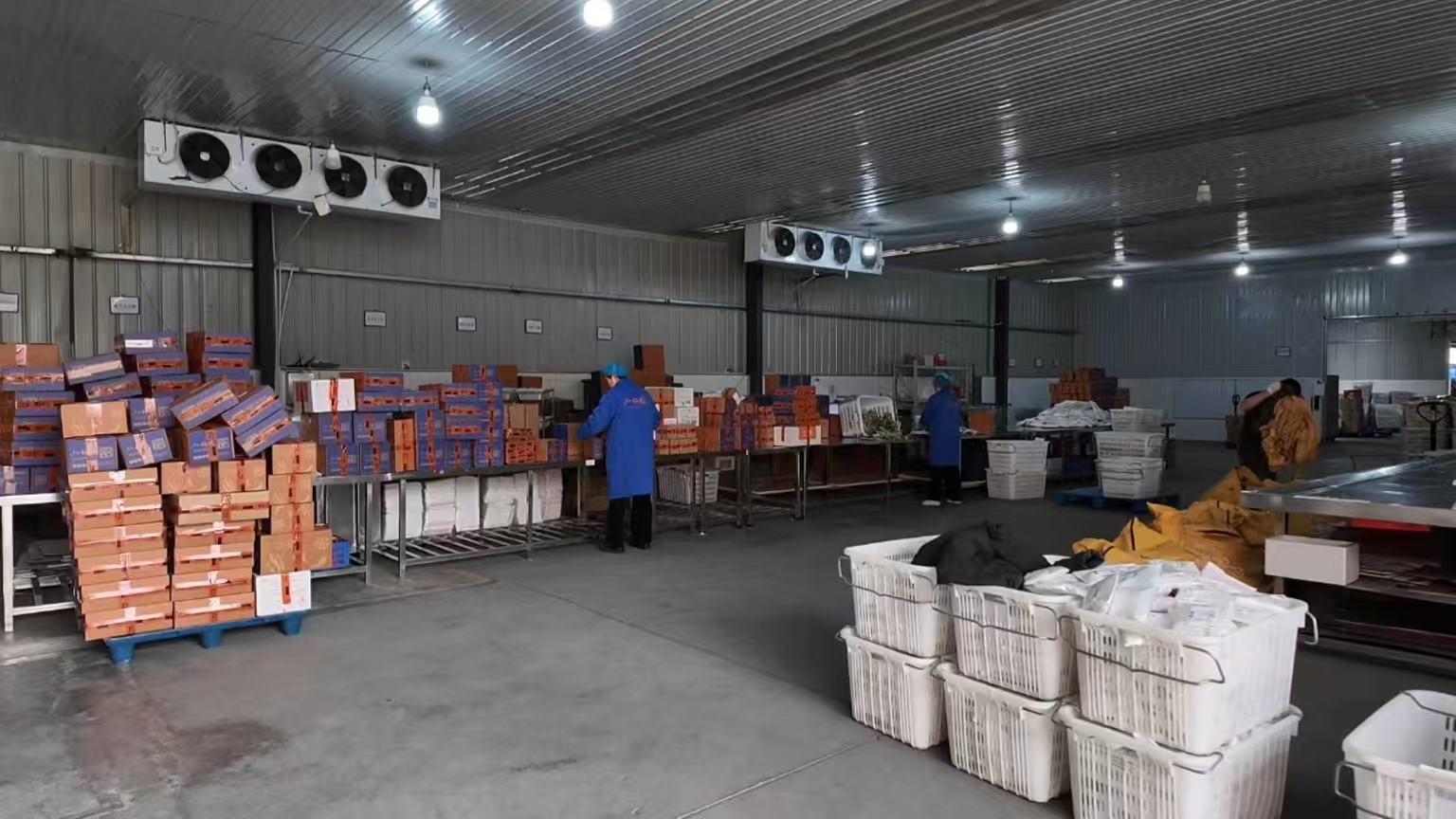 中国人吃的鸭货三分之一来自湖北 江汉平原养好鸭，从卤味到板鸭，湖北鸭货凭地道风味