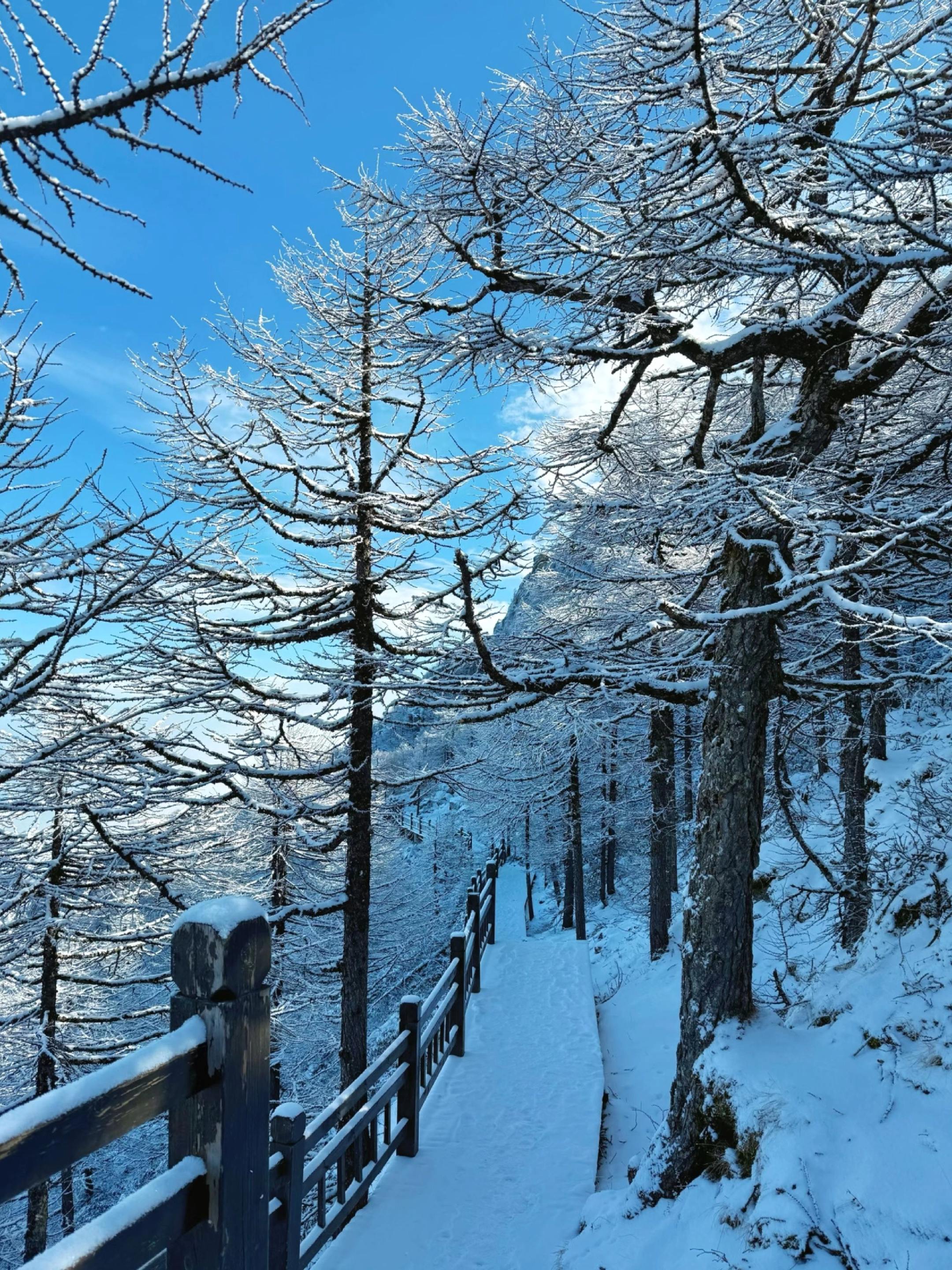 西安摇人👭今年冬天1日玩转太白山❄冰雪。这个周末就是冬至了，太白山的...