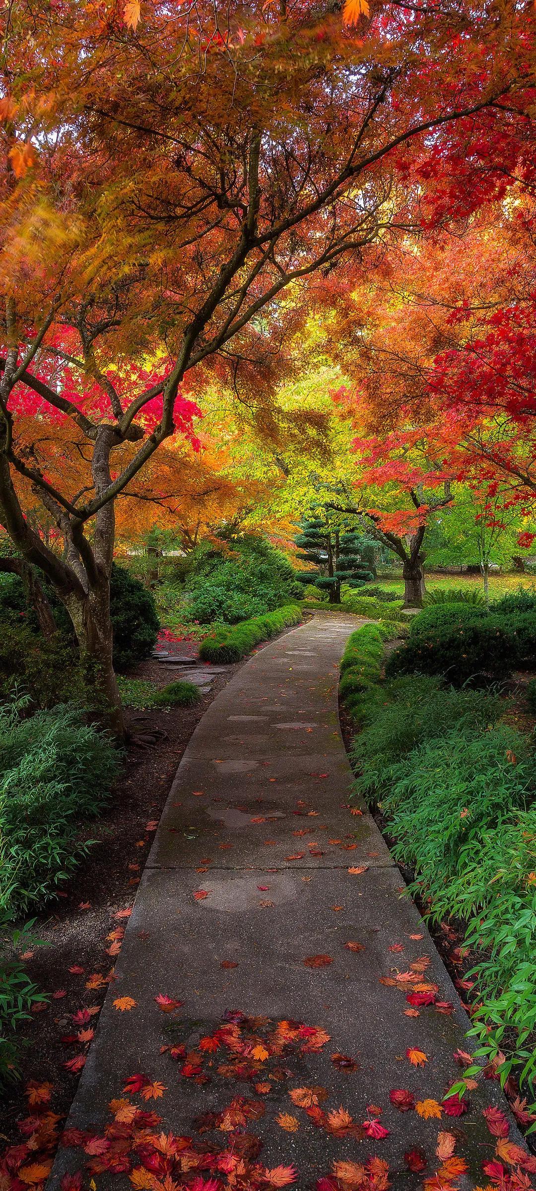 忍人不能所忍，能人不能所能！忍受常人忍受不了的东西，能人不能所能的东西，这就是生