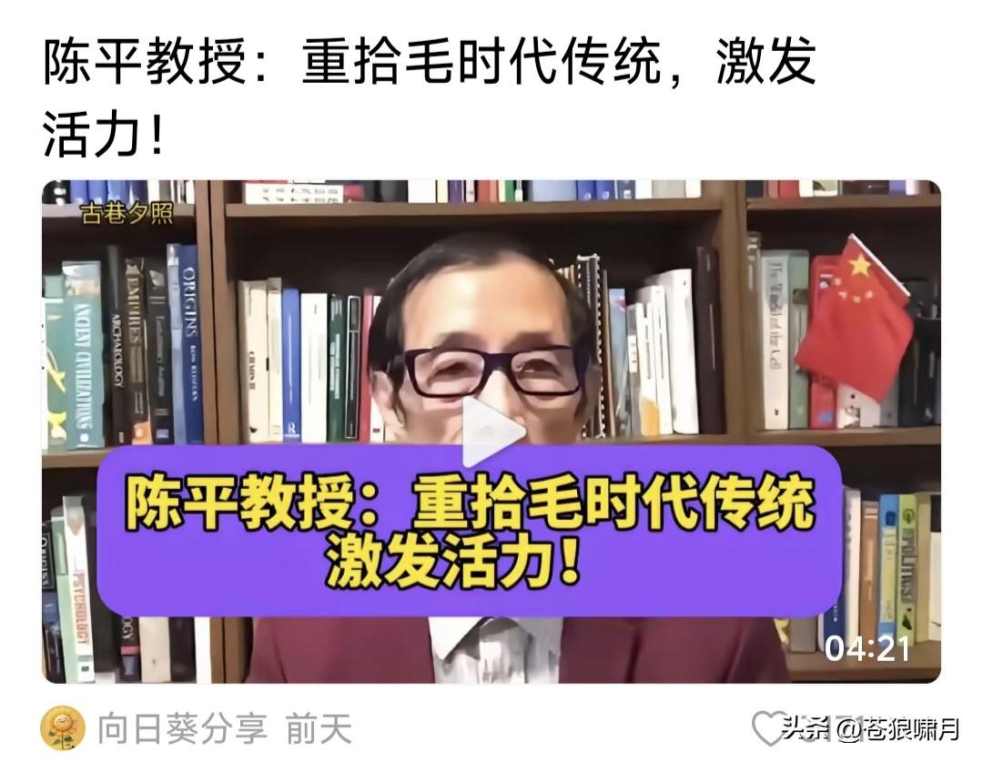 看到陈平教授一视频:重拾毛时代的传统，激发社会活力！苍狼不知此视频何时所发？也不