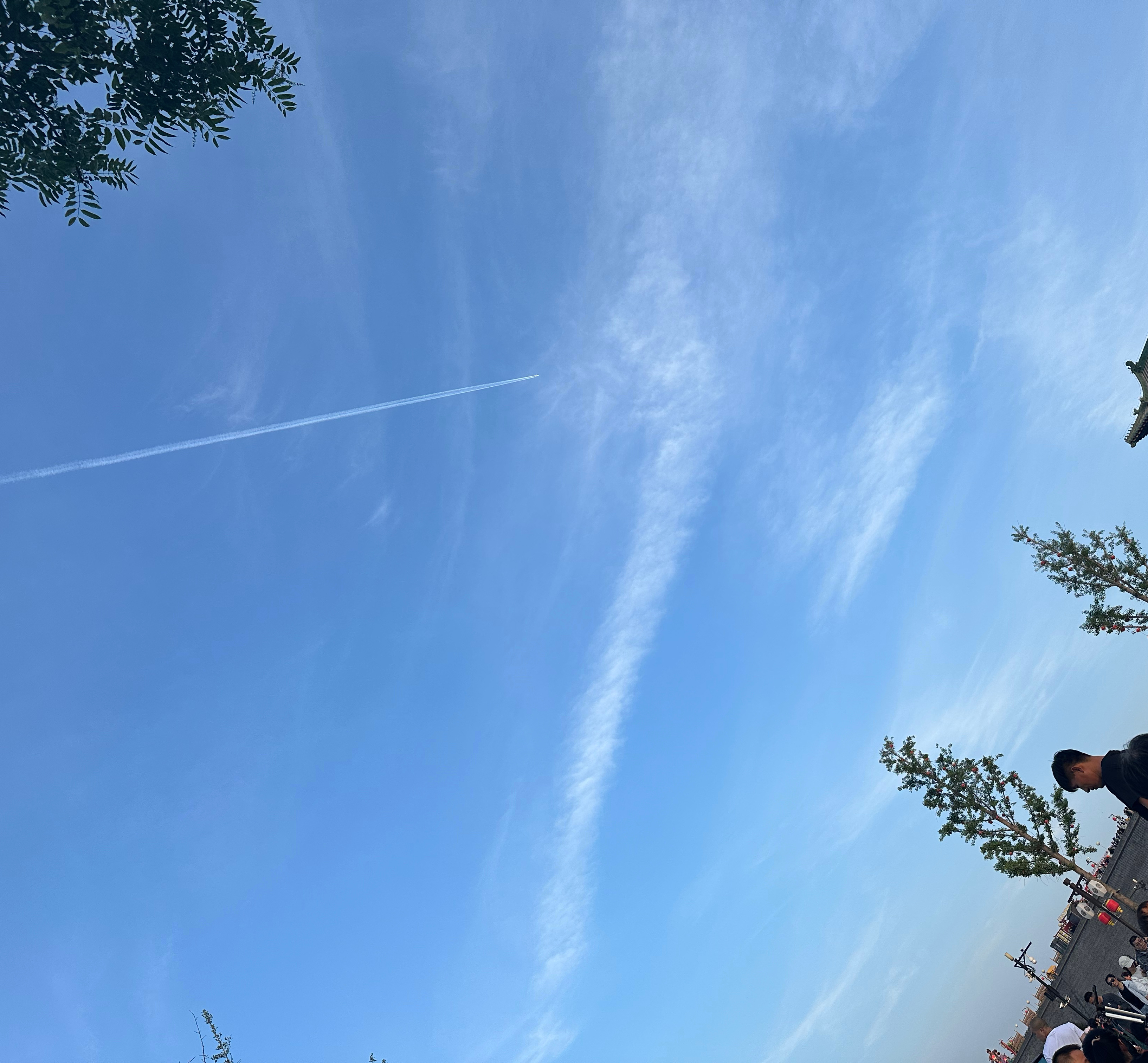 今天天气真好 ​​​