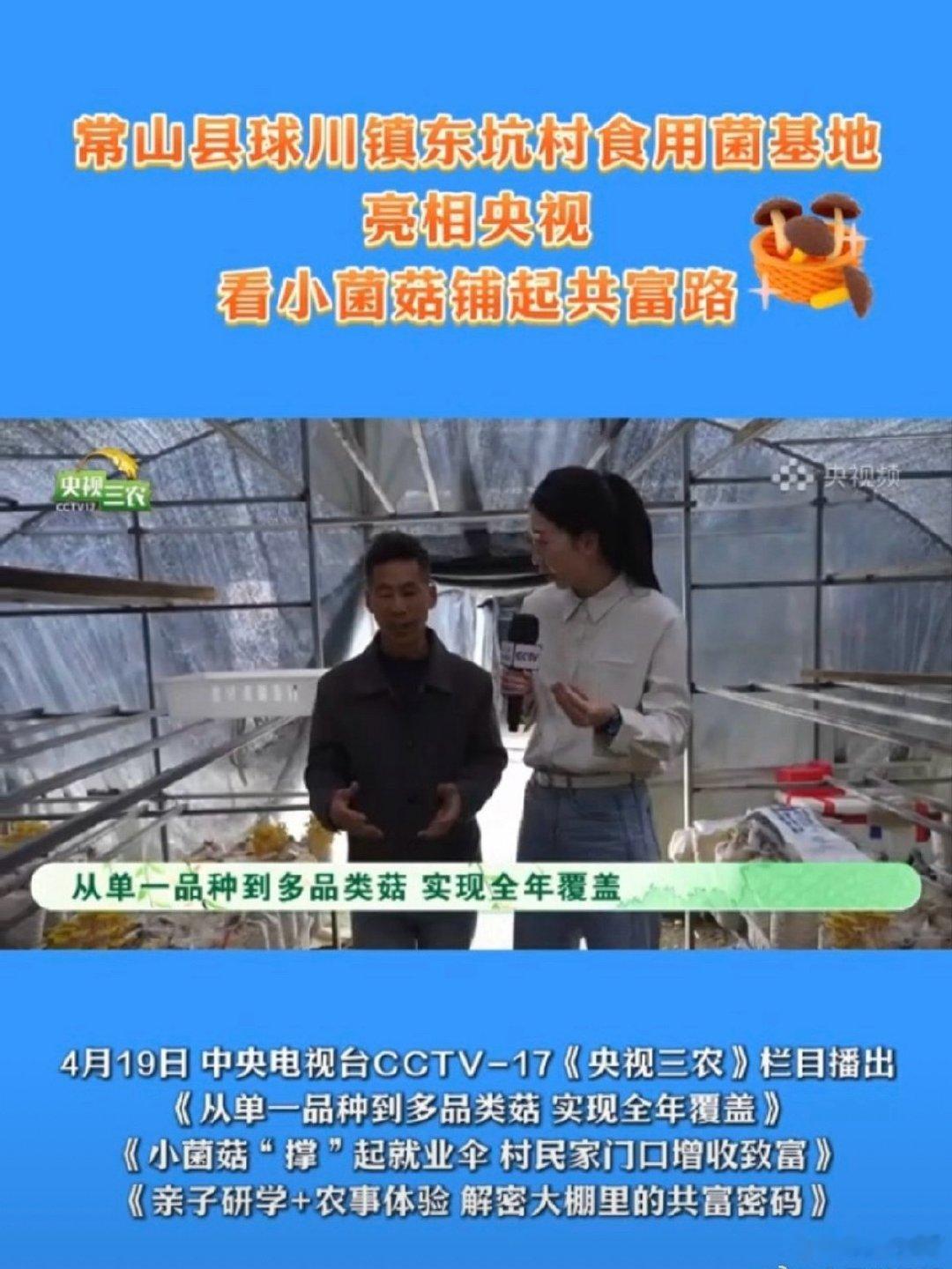 小菌菇长出大产业衢州共富故事登上央视常山菌菇产业登央视，全年覆盖、村民增收、研学