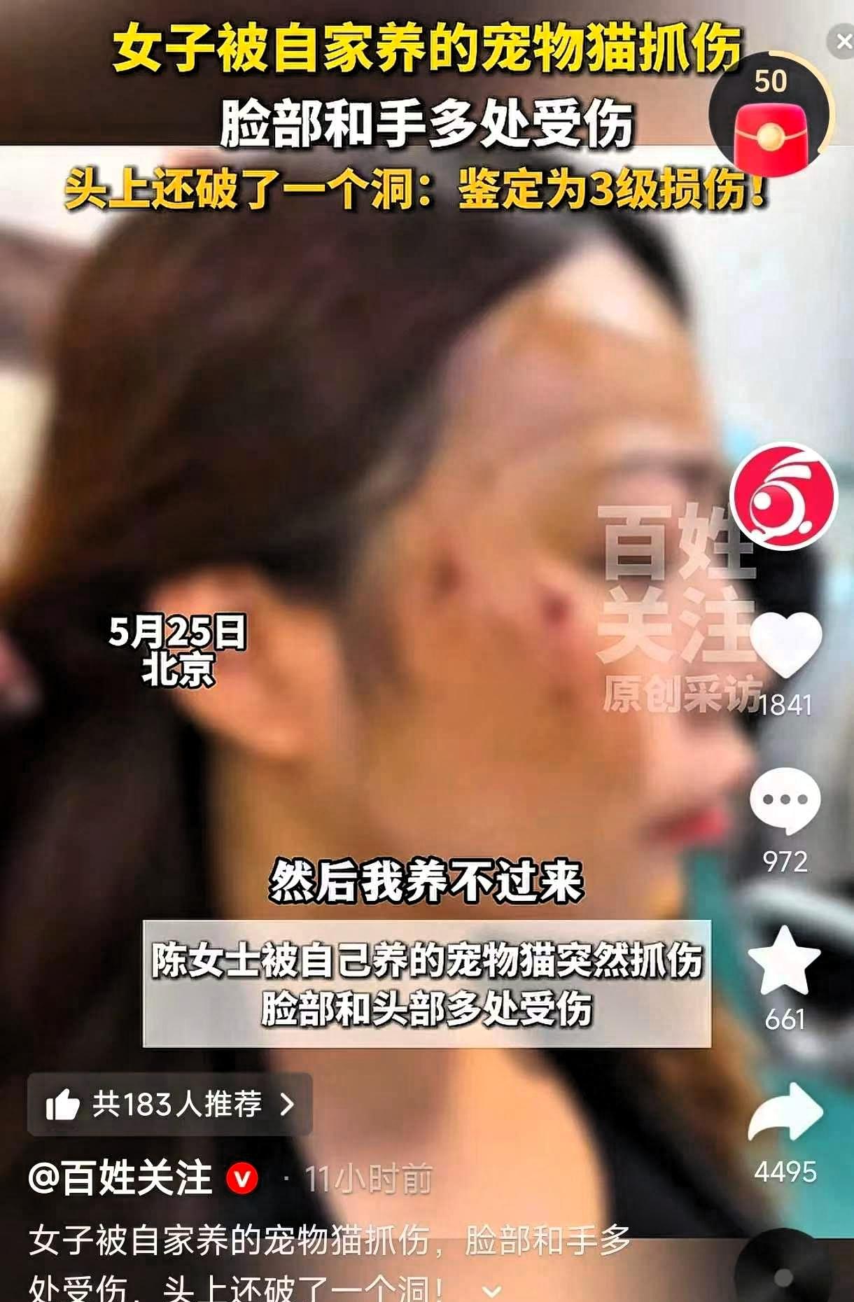 太吓人了！北京，一女子从同事手中接回之前送养的小猫，没想到刚到家，自家养了两年的
