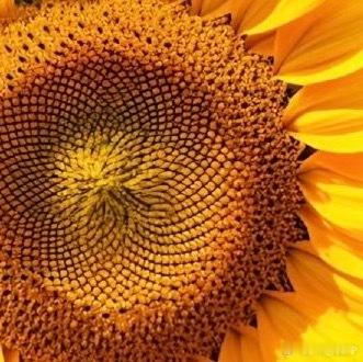 奥运会 | 早安 世界之路并没有铺满鲜花，每一步都有荆棘。但是你必须走过那条荆棘