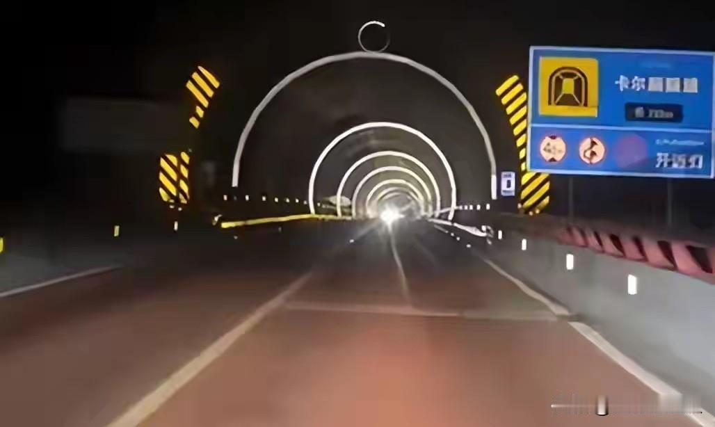 新疆独库公路隧道撞羊事故引发热议，交警判定司机全责并非无据可依。该隧道是法定牧道