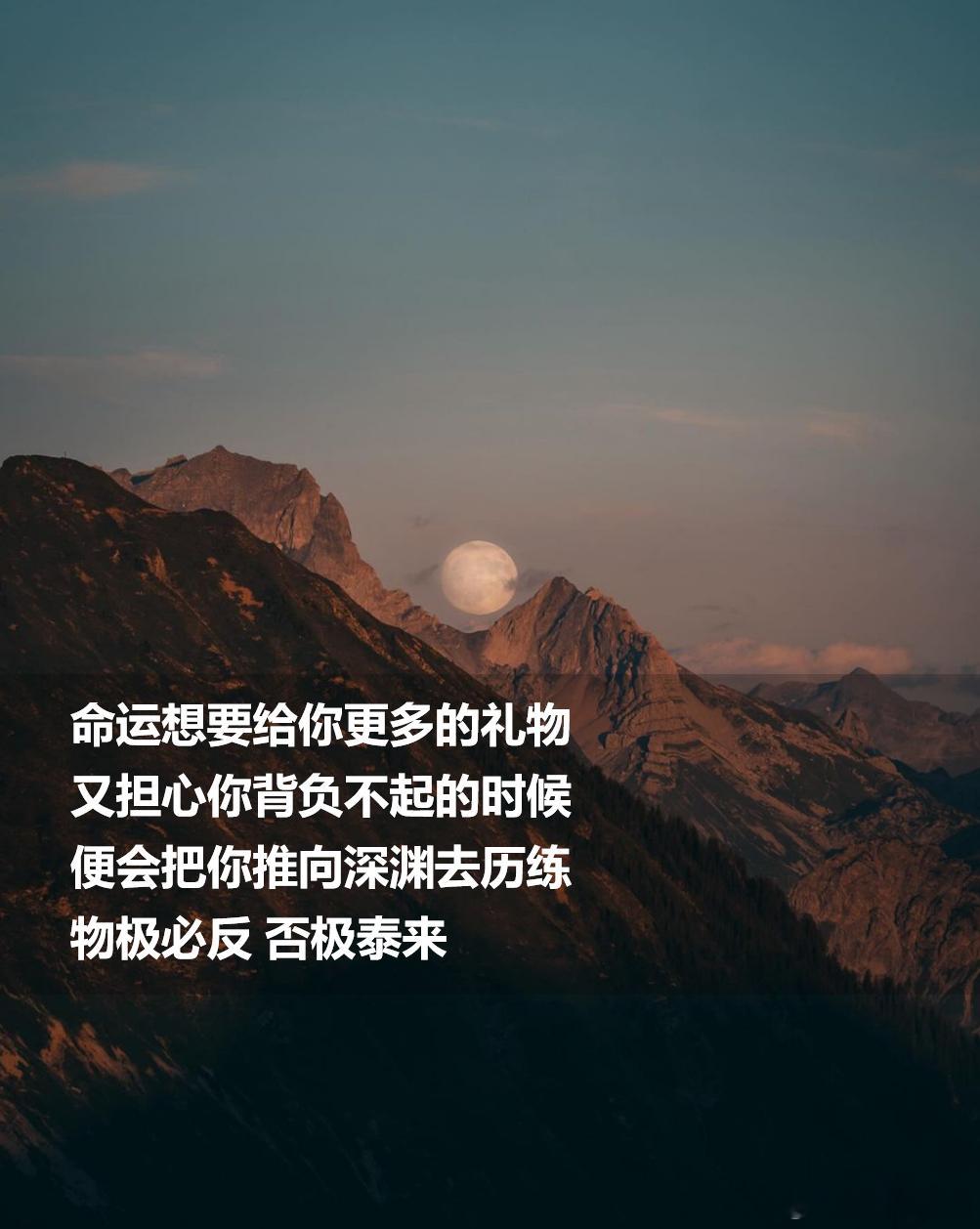 命运的馈赠，早在暗中标好了价格。 