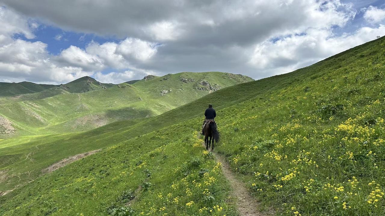 男人为情所困，最终会为情所败，一个情字背后，隐藏了人生最大的失败。
      
