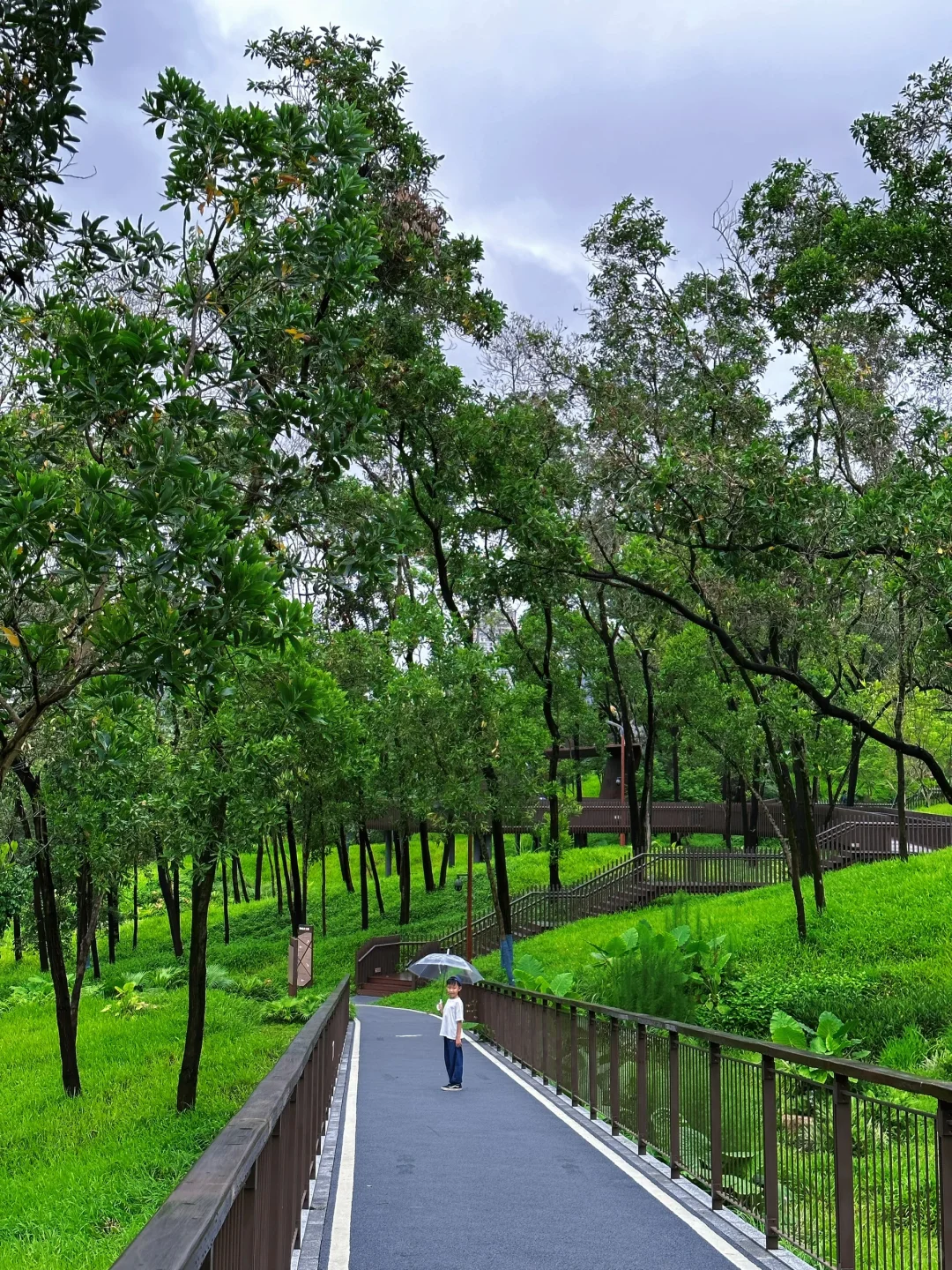 雨天也那么美🌿深圳的新公园已经Next Level