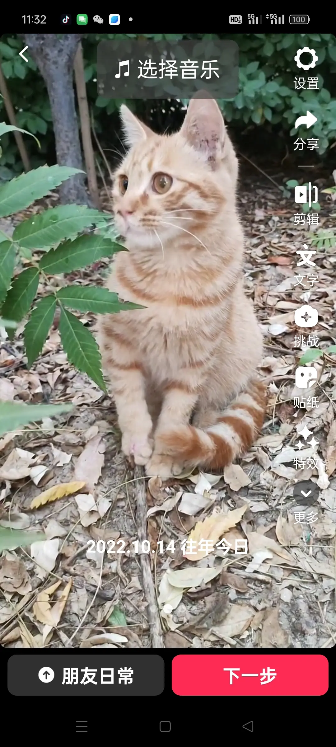 他是我的流浪猫橘宝，失踪了快七个月了，如果有好心人给他抱走，希望好心人...