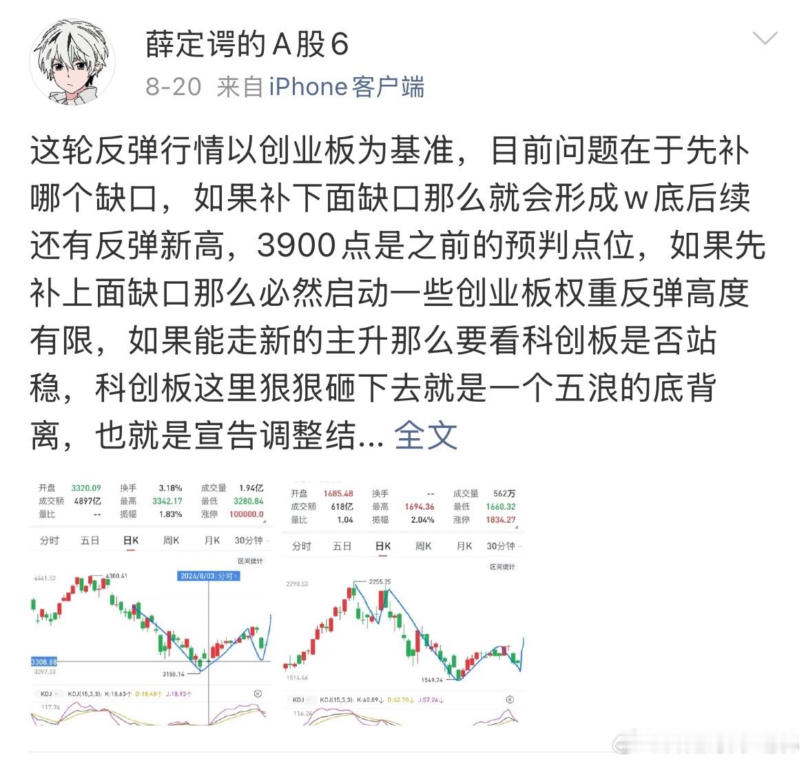 对于创业板已经说的很清楚了，8月20号已经画了线指数要补下面缺口，科创要走w底，