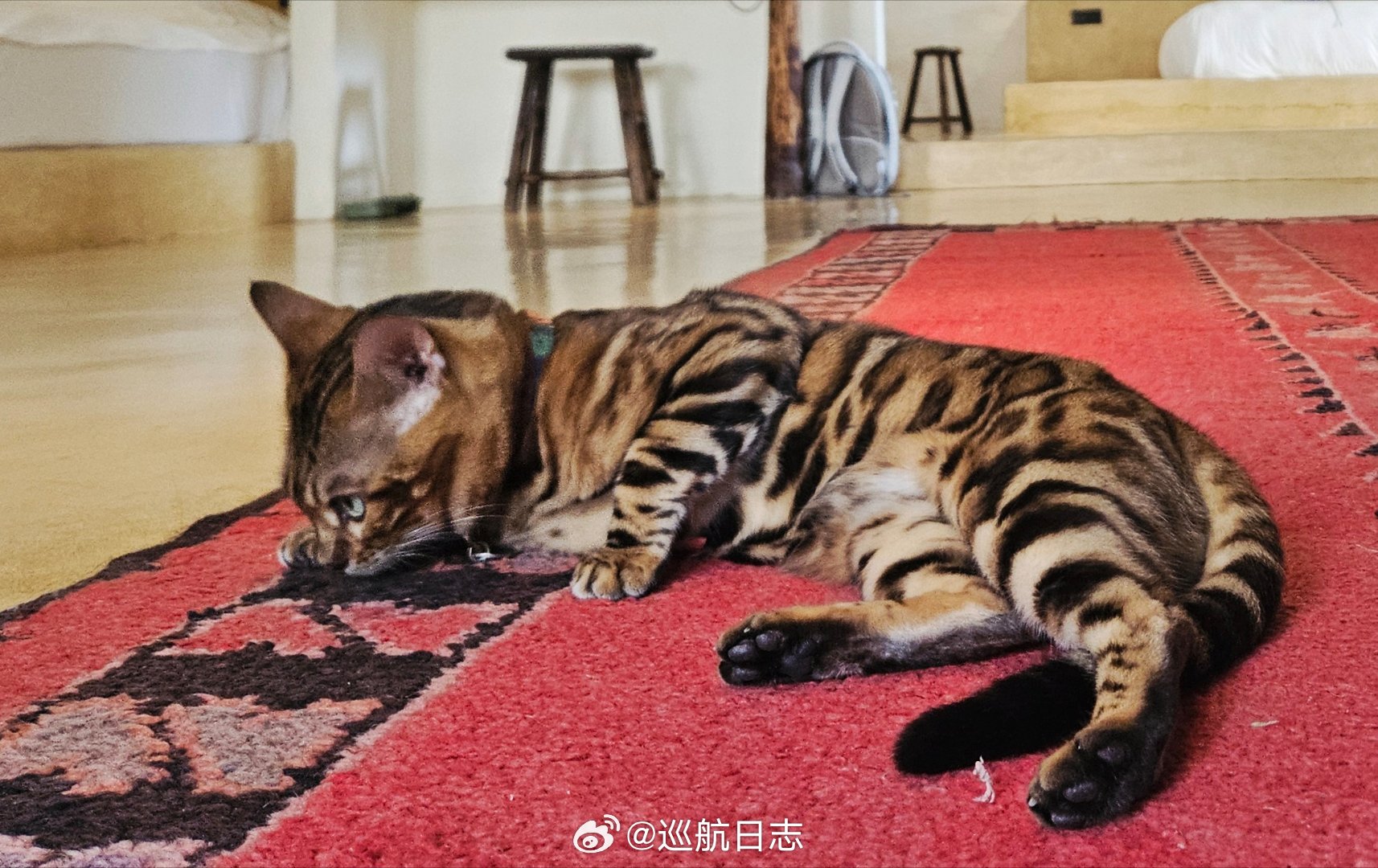 模拟机上，FO奋力操纵单发飞机飞到跑道头，瞬间丢失目视参考，大声喊出：复飞。标准