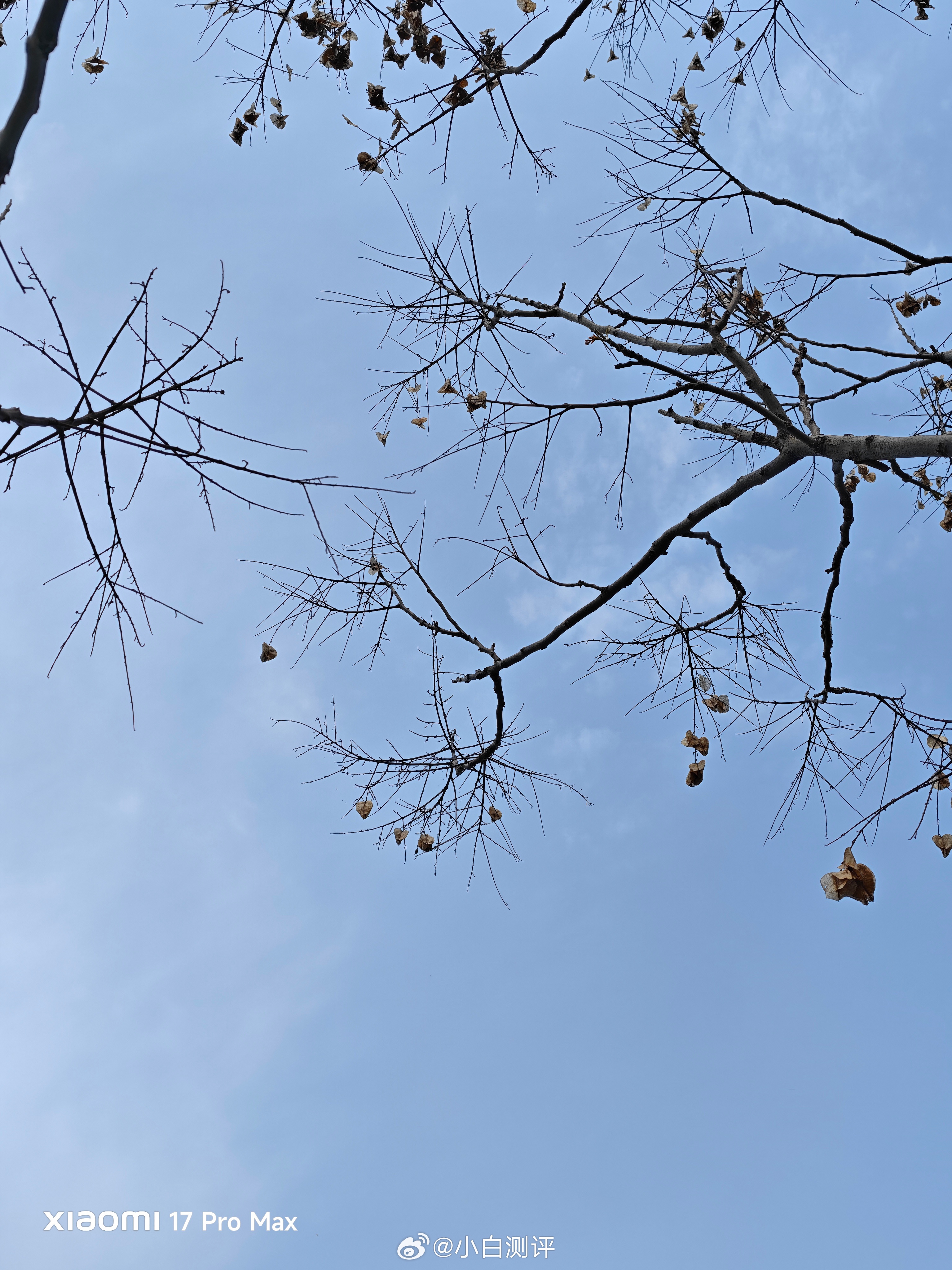 发布于13年前的小米2s现在拍照怎么样？体验下老手机和现在手机的成片~ 