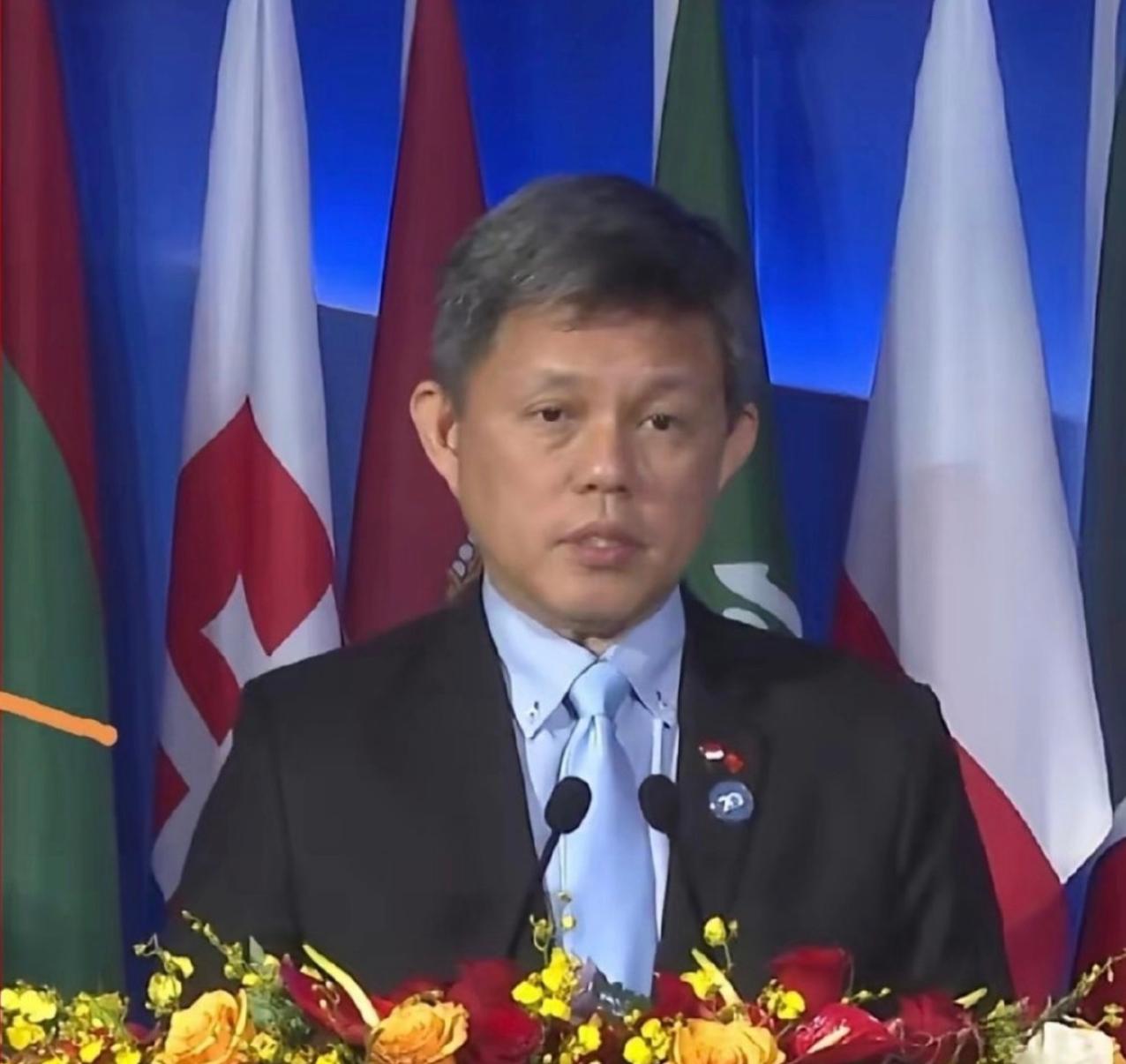 新加坡国防部长陈振声在香山论坛上谈到国际安全困境时指出，小国因为体量有限、实力较