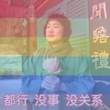 小白鸽说说教育