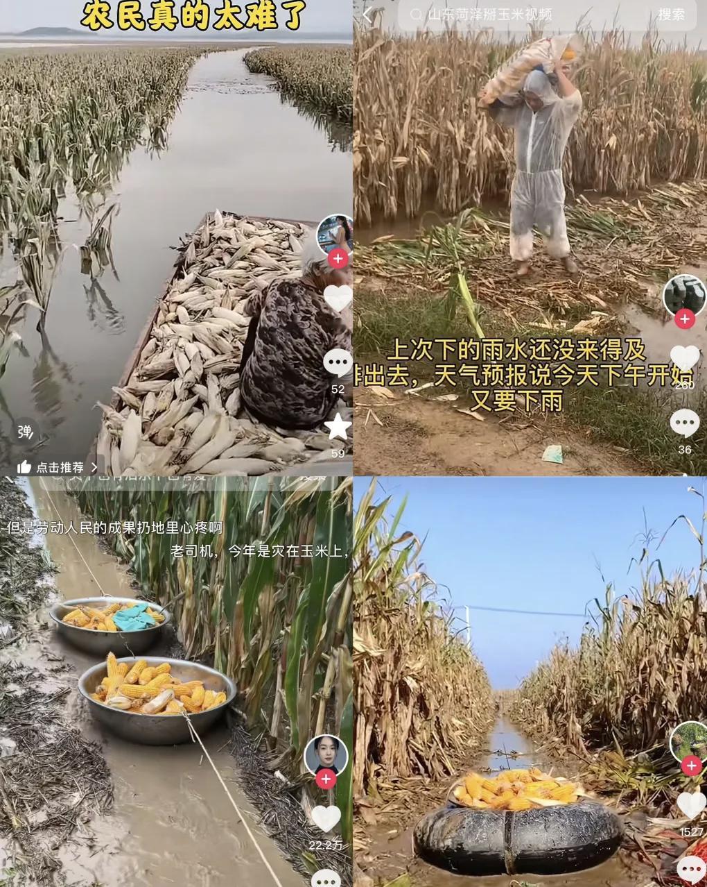 农民真是太不容易了。

今天陪父母回老家出门，沿途看到很多玉米地里有积水，根本进