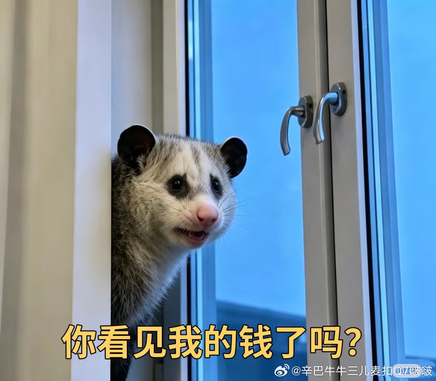 不行了，要让这个鼠鼠笑死了，他怎么那么多表情包，那么有才华，随便靠个窗，就那么有
