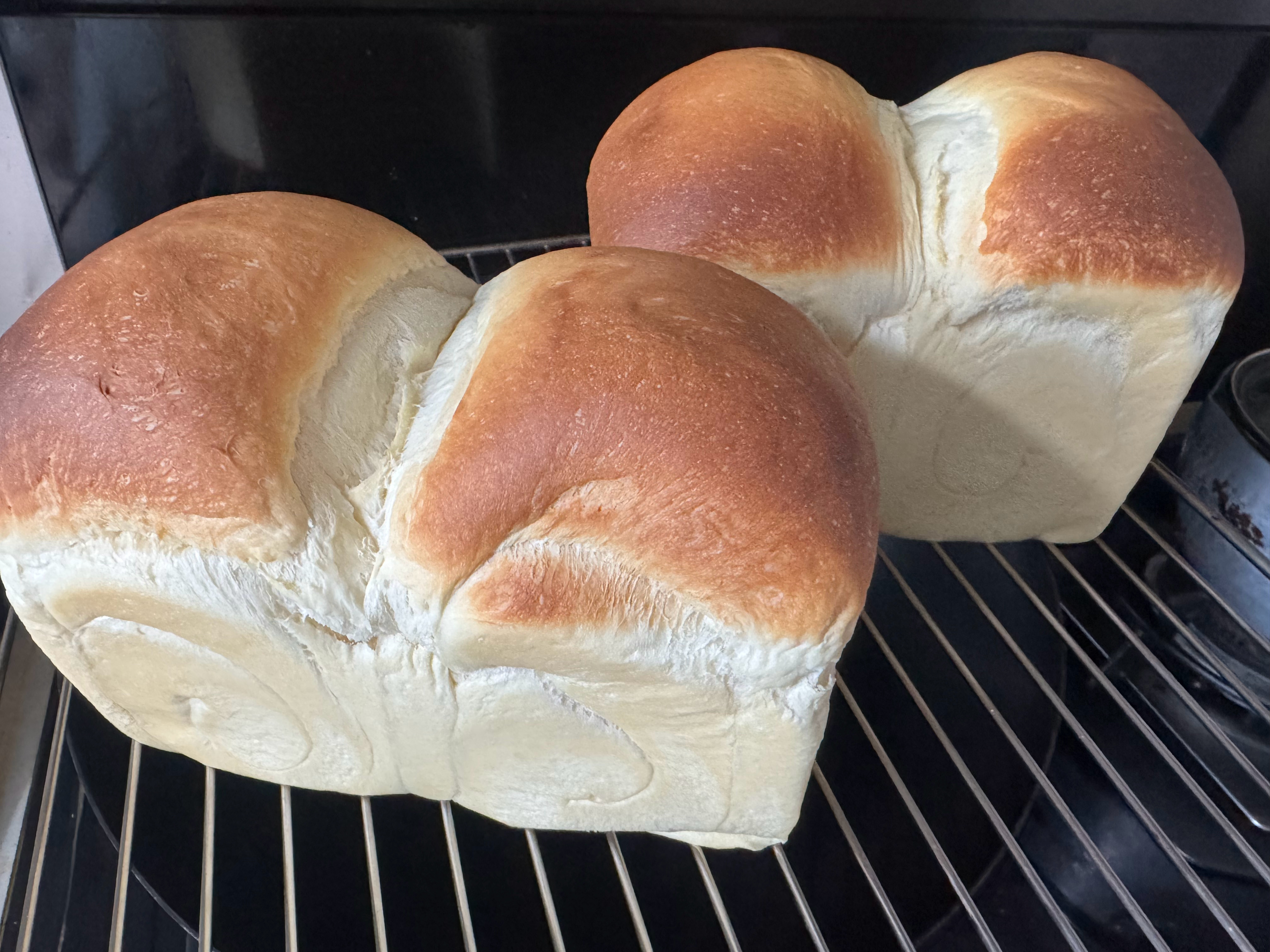 烤两个吐司🍞刚出炉为什么烤吐司呢 早上可以切片吐司 煎歌香肠鸡蛋为什么烤两个呢