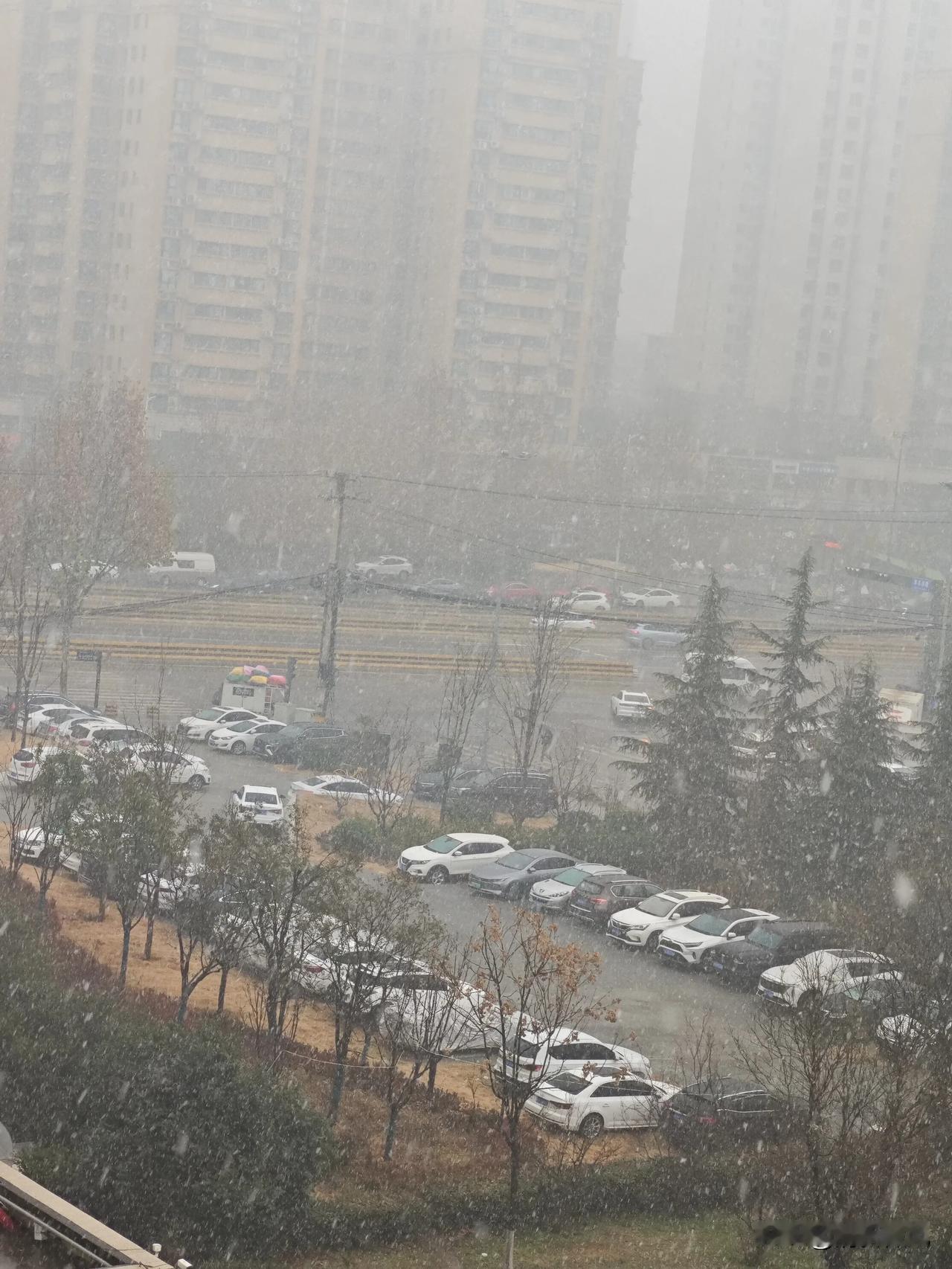 晒图笔记大赛西安下雪了，长安回来了。