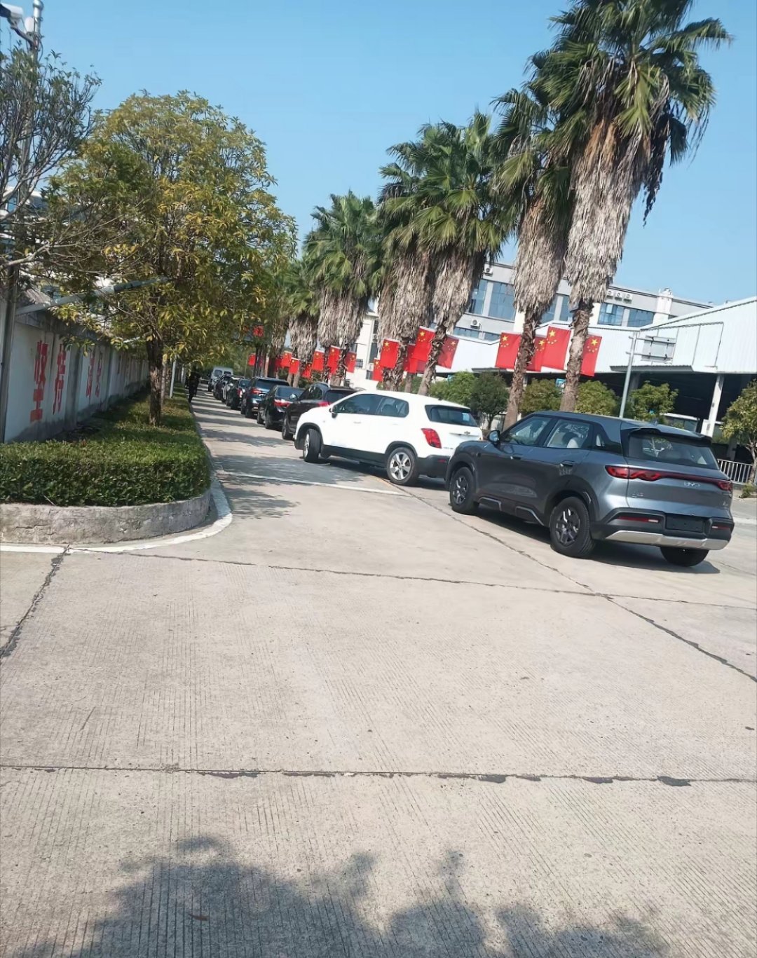 昨天汽车年检。开了15年的车，一次上线检车顺利过关，检车费260元。从进入检车公