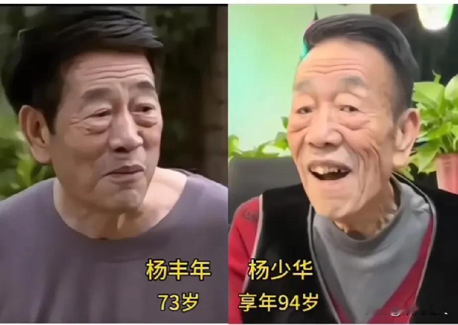 2004年电视剧《阳光的快乐生活》演员今昔变化！
