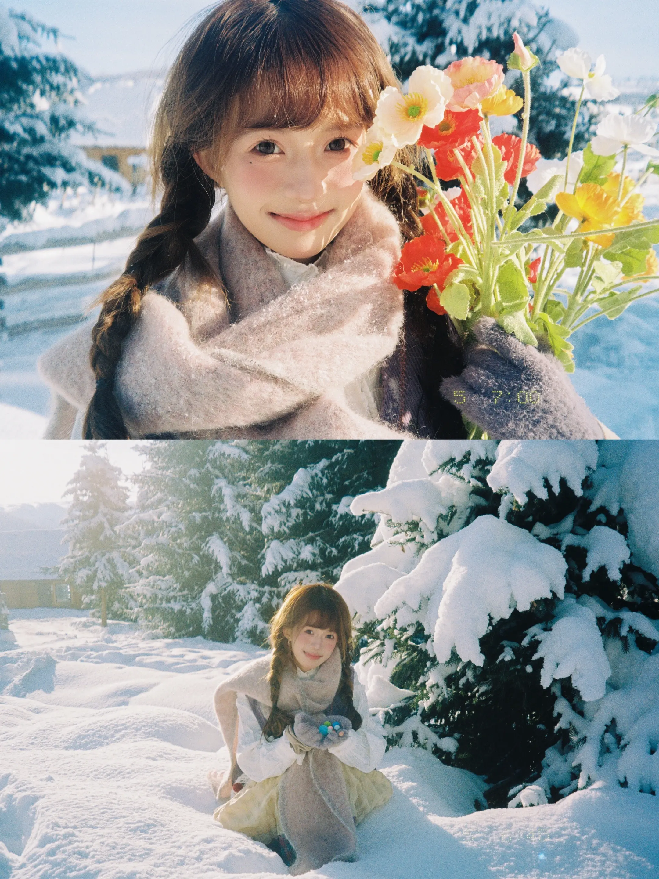 雪原才是记忆里的冬天❄️。