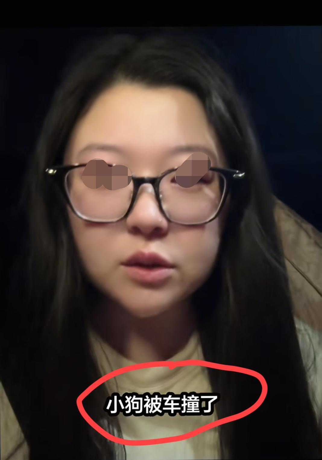 江苏。女子发视频哭诉：昨晚在苏州景区边上遛狗时，狗狗忽然跑到车道里，被一辆白色传