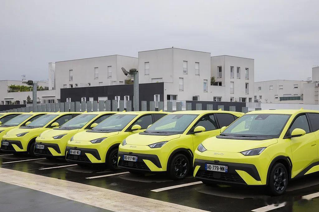 比亚迪这波直接逆袭封神！2025年纯电销量狂卖225万辆，把特斯拉163.6万辆