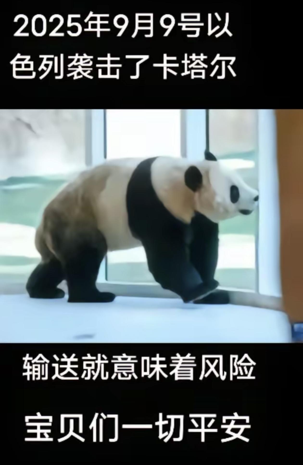 怎么会不担心呢？听到卡塔尔遭空袭，第一时间想到的就是，我们的国宝大熊猫京京和四海