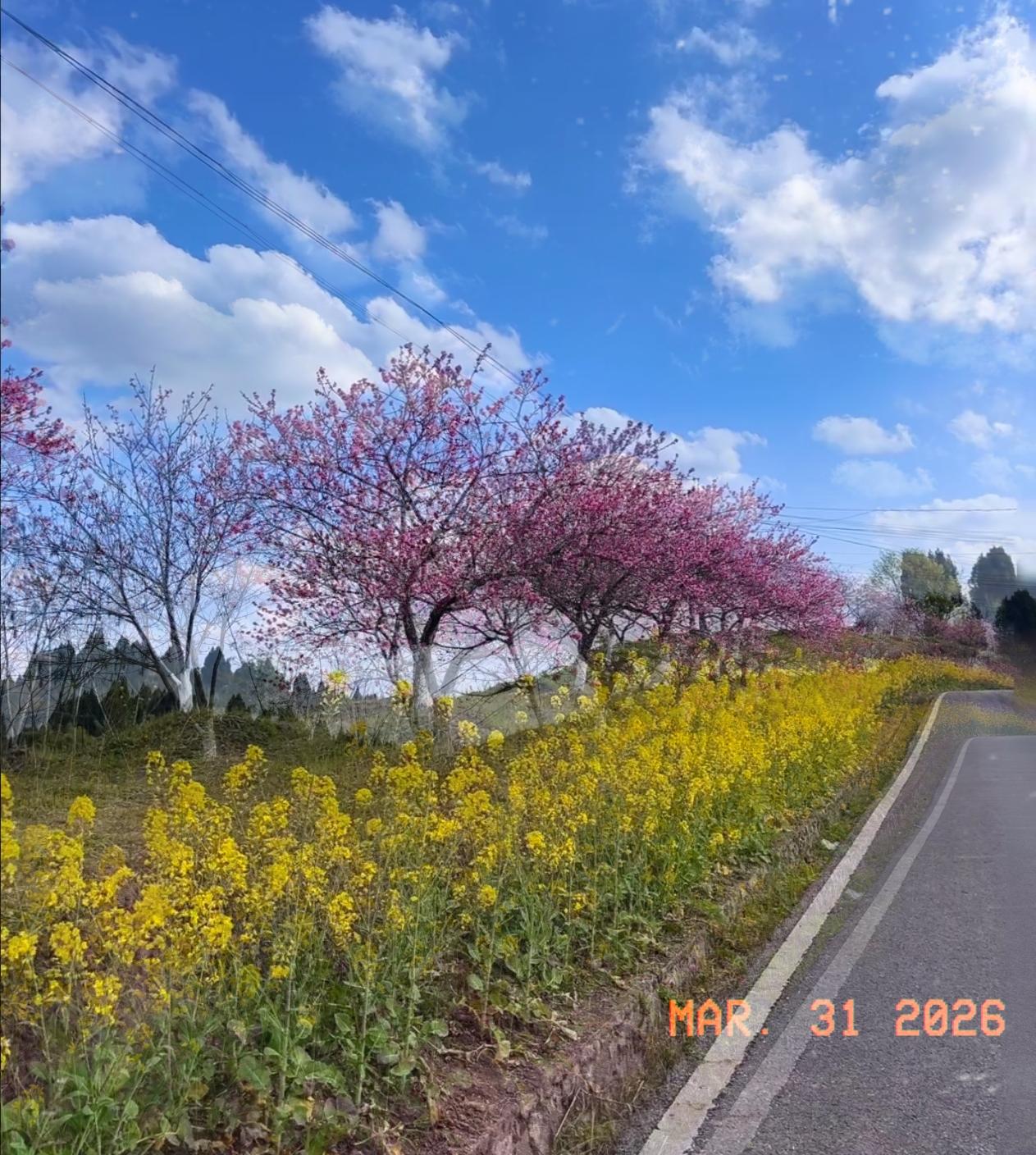 夫妻生活中的小妙招：

1. 夫妻之间感情淡了、状态不好，别总想着靠什么东西“快