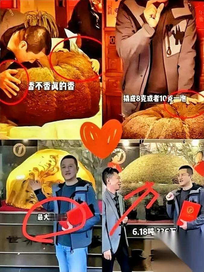 点进李亚鹏直播间，我惊到了

眼前堆着座6吨多的茶山

这哪是卖茶？分明是让我继