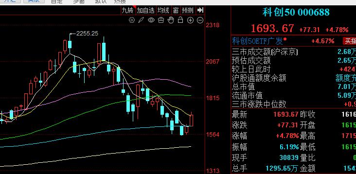 继昨日科技股板块全面回暖后，今日科技股板块再度全面上扬。沪深两市涨幅10%以上的