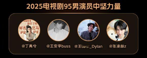 丁禹兮王安宇王鹤棣张凌赫95四小生 获评2025电视剧95男演员中坚力量，恭喜~