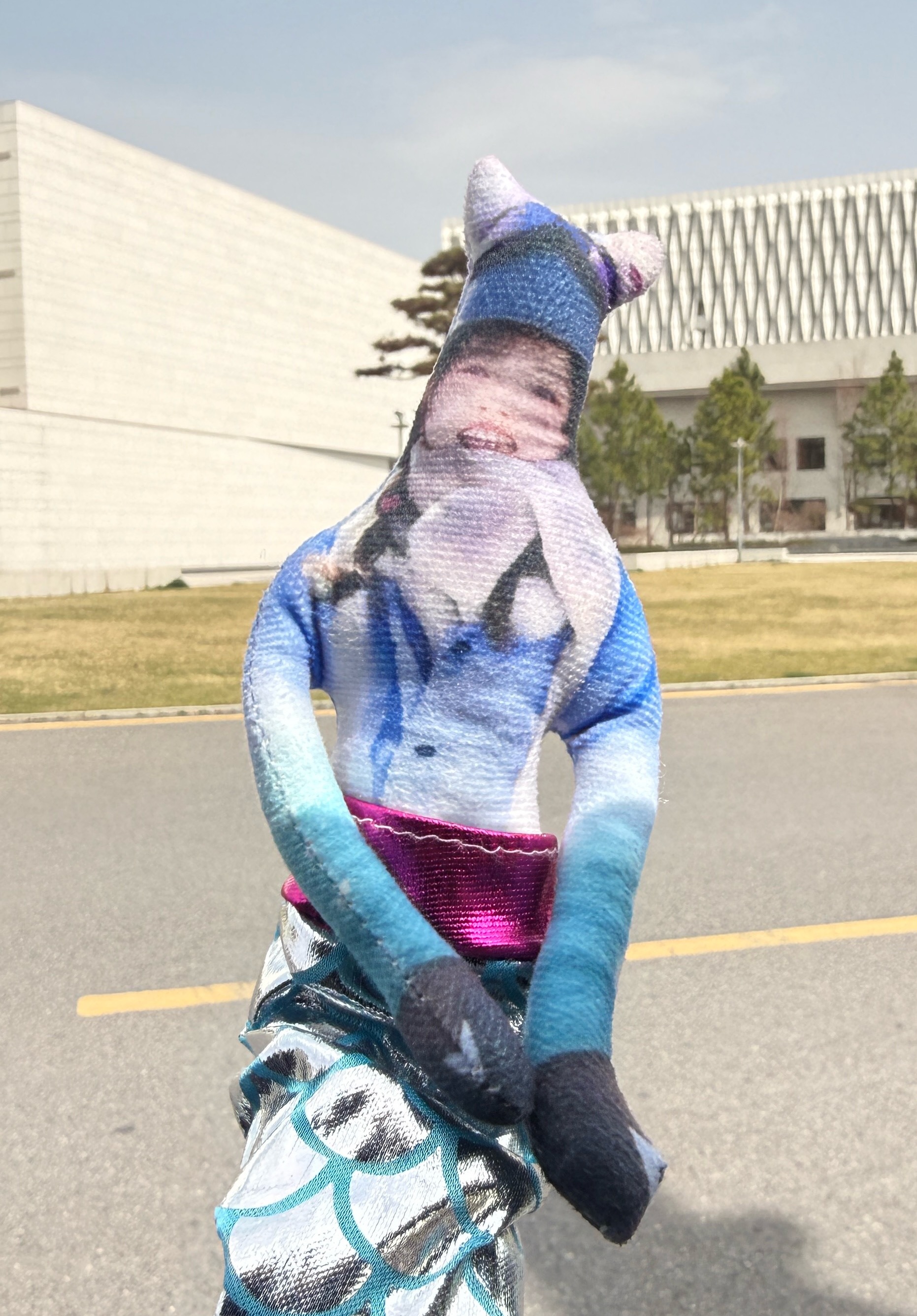 哪个宝遗漏了一个美人鱼老鼠干在我梯子旁边，私信联系我 