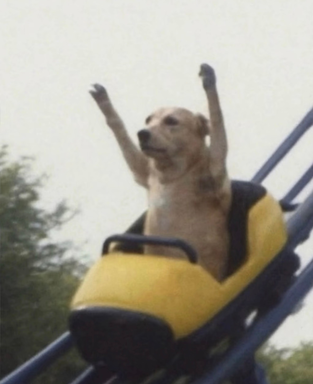 金价彻底杀疯了金价一路涨涨涨，现在珠宝店现状还好吗，现在已经涨到了普通人消费一点