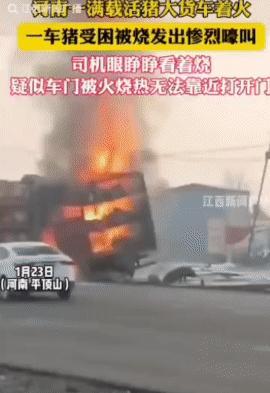 河南平顶山一拉猪的货车在道路上起火，有猪掉落在地，由于火势太大疑似无法靠近打开车