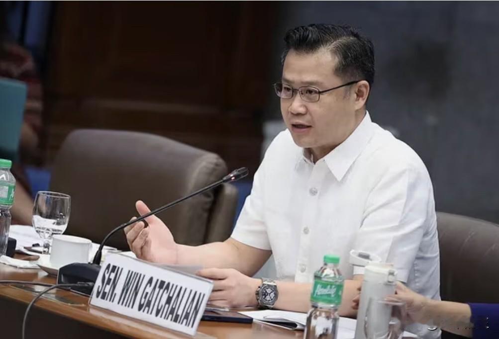 在2026年菲律宾国家预算非规划拨款中遭总统小马科斯否决的项目中，参议院财政委员