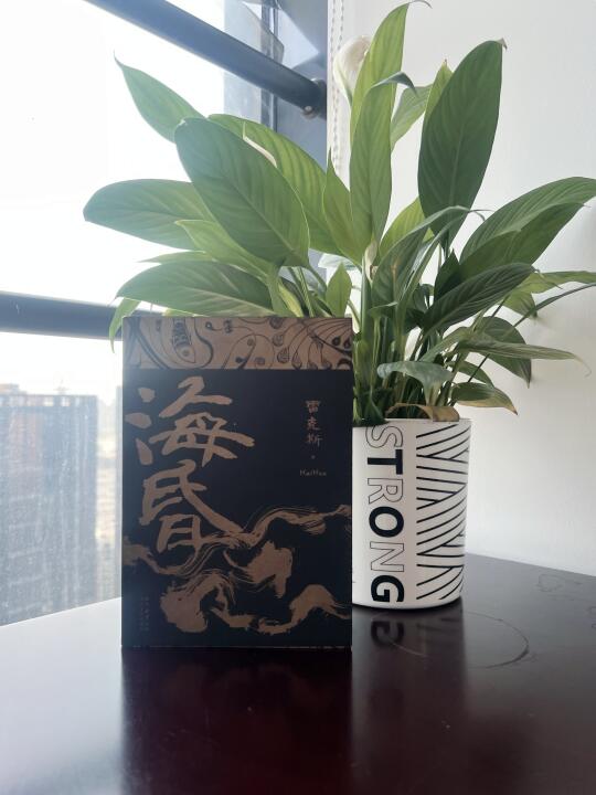 精彩🌟再现海昏侯跌宕起伏的人生