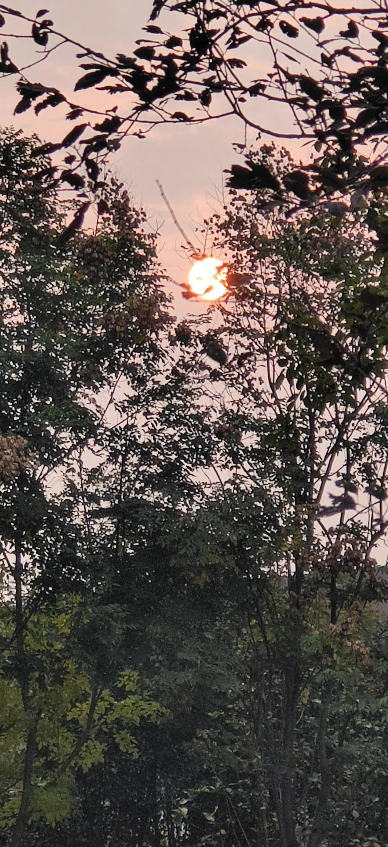 我的健忘症
莫名其妙又神经 
我的健忘让自己都发晕。
大概在2011年，我通过驾