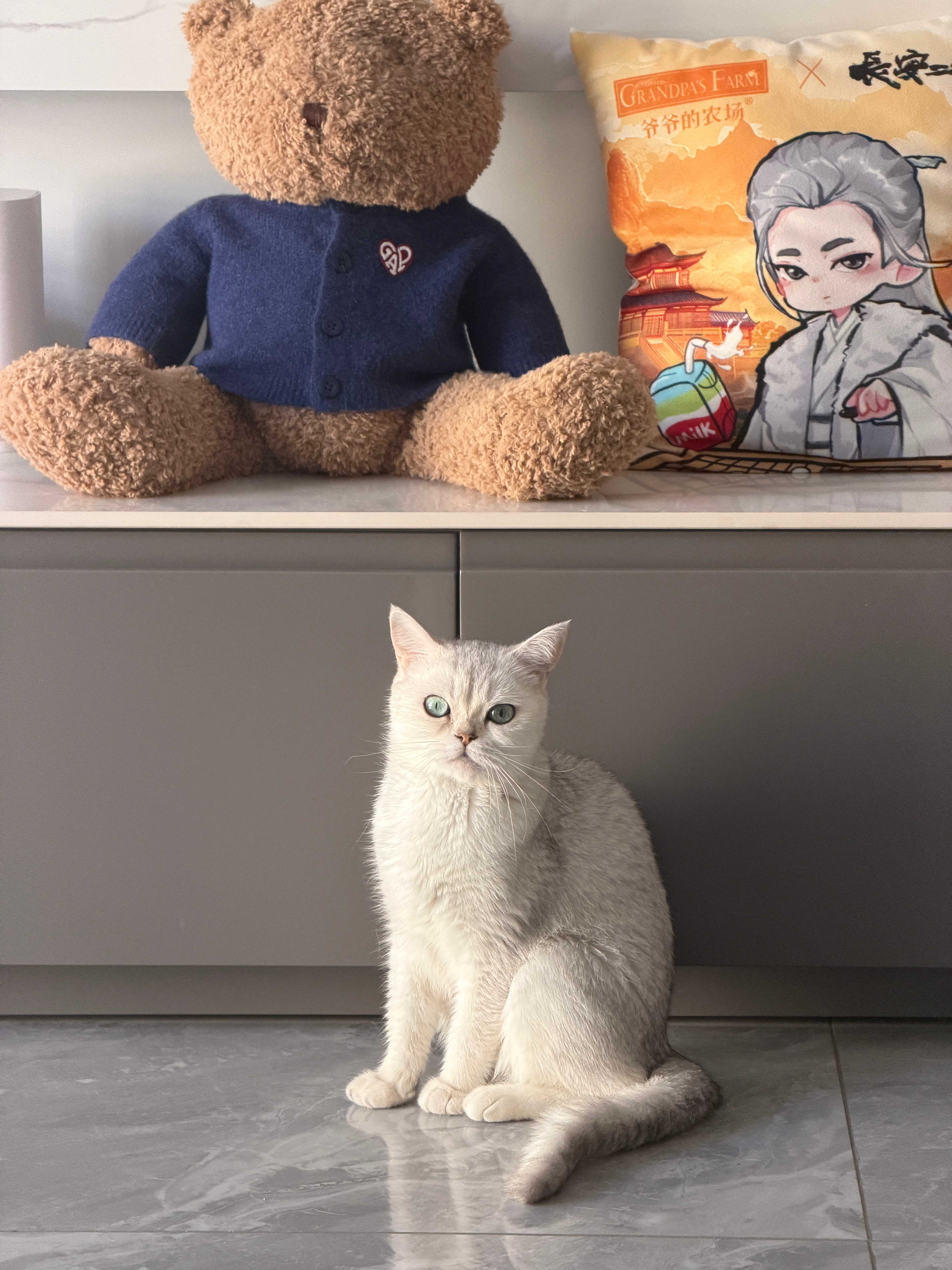 🐱…… 